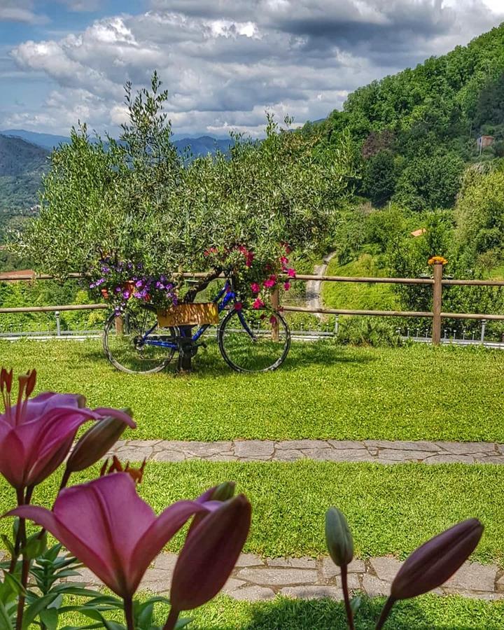 Relax Nella Natura Bolano Exterior photo
